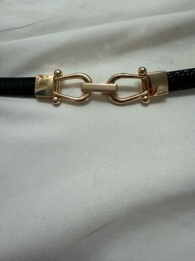 Source Unknown Black Belt with Gold Link Hardware